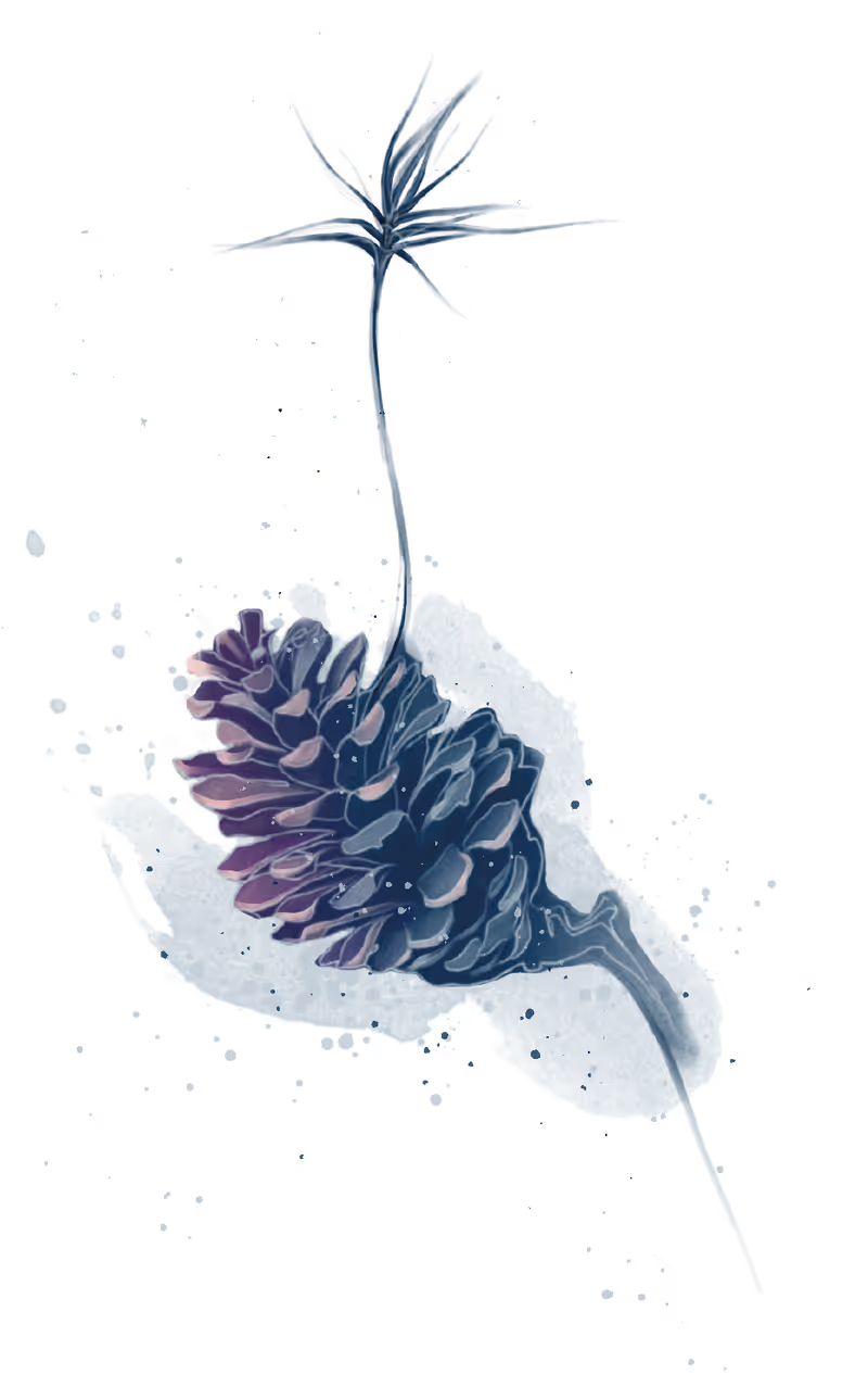 Pine cone graphic